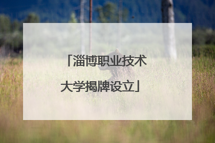 淄博职业技术大学揭牌设立
