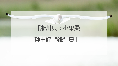 淅川县：小果桑种出好“钱”景