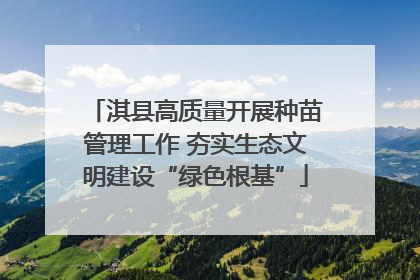 淇县高质量开展种苗管理工作 夯实生态文明建设“绿色根基”