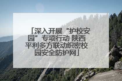 深入开展“护校安园”专项行动 陕西平利多方联动织密校园安全防护网