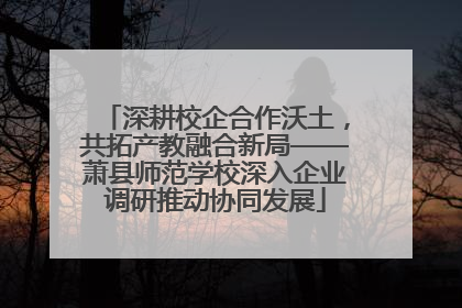 深耕校企合作沃土，共拓产教融合新局——萧县师范学校深入企业调研推动协同发展