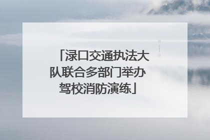 渌口交通执法大队联合多部门举办驾校消防演练