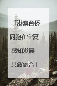 港澳台侨同胞在宁夏感知发展 共叙融合
