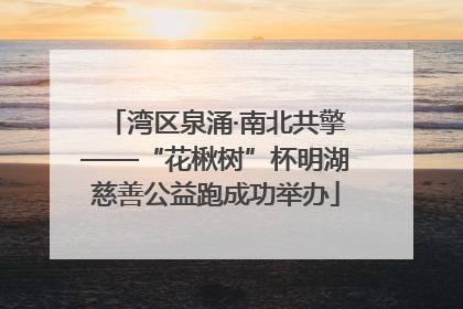 湾区泉涌·南北共擎——“花楸树”杯明湖慈善公益跑成功举办