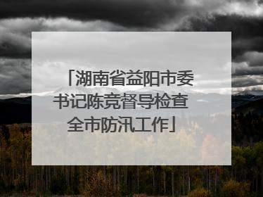 湖南省益阳市委书记陈竞督导检查全市防汛工作