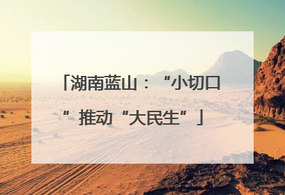 湖南蓝山：“小切口”推动“大民生”