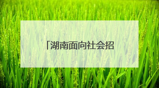 湖南面向社会招录450名消防员，即日起报名