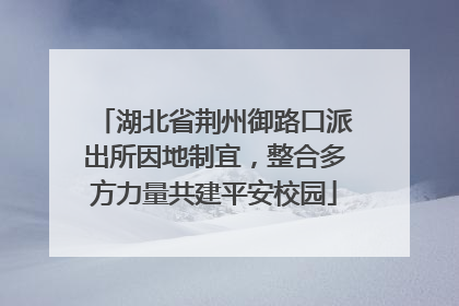 湖北省荆州御路口派出所因地制宜，整合多方力量共建平安校园