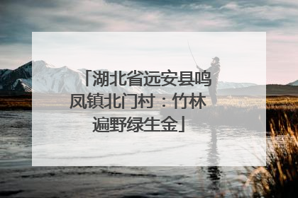 湖北省远安县鸣凤镇北门村：竹林遍野绿生金