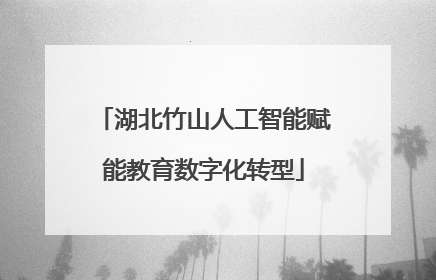 湖北竹山人工智能赋能教育数字化转型