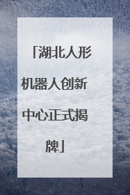 湖北人形机器人创新中心正式揭牌