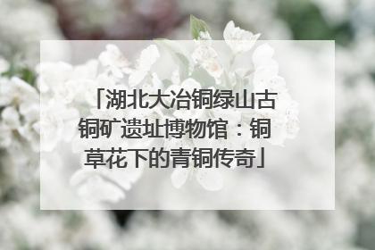 湖北大冶铜绿山古铜矿遗址博物馆：铜草花下的青铜传奇