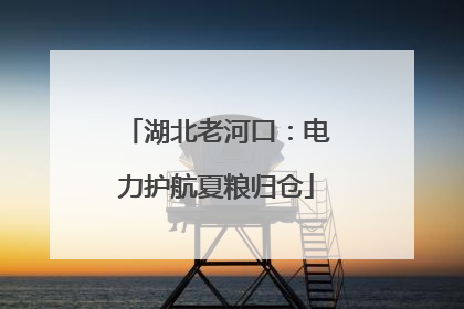 湖北老河口：电力护航夏粮归仓