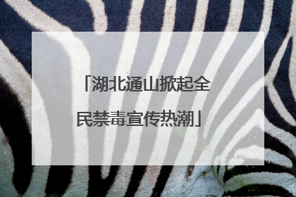 湖北通山掀起全民禁毒宣传热潮