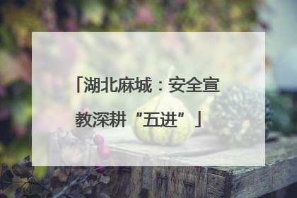 湖北麻城：安全宣教深耕“五进”