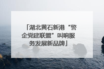湖北黄石新港“警企党建联盟”叫响服务发展新品牌