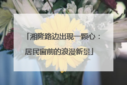 湘隆路边出现一颗心：居民窗前的浪漫新景