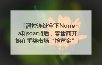 滔搏连续拿下Norrøna和soar背后，零售商开始在垂类市场“捡黄金”