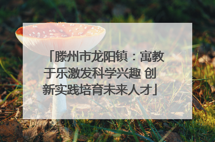 滕州市龙阳镇：寓教于乐激发科学兴趣 创新实践培育未来人才