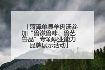 菏泽单县羊肉汤参加“鲁滋鲁味、鲁艺鲁品”专项职业能力品牌展示活动