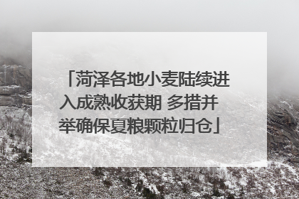 菏泽各地小麦陆续进入成熟收获期 多措并举确保夏粮颗粒归仓