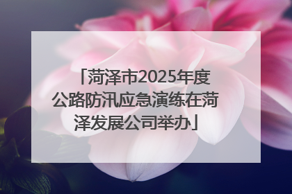 菏泽市2025年度公路防汛应急演练在菏泽发展公司举办
