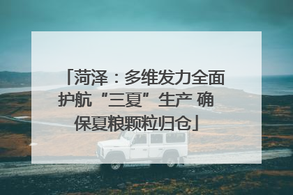 菏泽：多维发力全面护航“三夏”生产 确保夏粮颗粒归仓