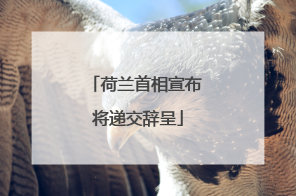 荷兰首相宣布将递交辞呈