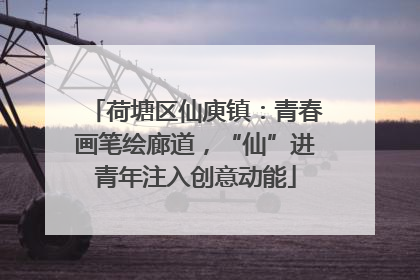 荷塘区仙庾镇：青春画笔绘廊道，“仙”进青年注入创意动能