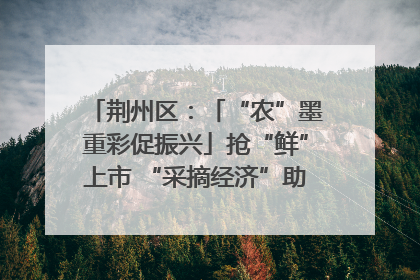 荆州区：「“农”墨重彩促振兴」抢“鲜”上市 “采摘经济”助农“甜蜜增收”
