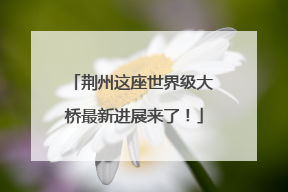 荆州这座世界级大桥最新进展来了！
