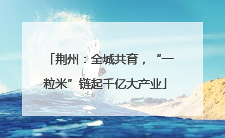 荆州：全城共育，“一粒米”链起千亿大产业