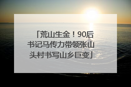 荒山生金！90后书记马传力带领张山头村书写山乡巨变