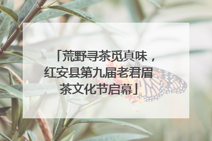 荒野寻茶觅真味，红安县第九届老君眉茶文化节启幕