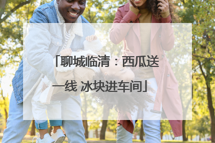 聊城临清：西瓜送一线 冰块进车间