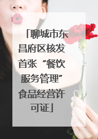 聊城市东昌府区核发首张“餐饮服务管理”食品经营许可证