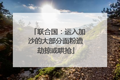 联合国：运入加沙的大部分面粉遭劫掠或哄抢