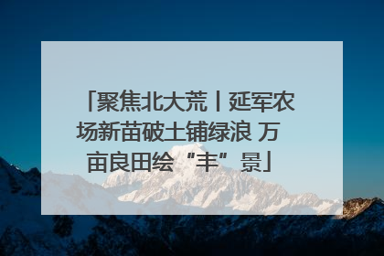 聚焦北大荒丨延军农场新苗破土铺绿浪 万亩良田绘“丰”景