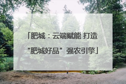 肥城：云端赋能 打造“肥城好品”强农引擎
