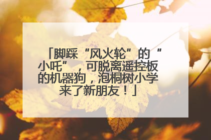 脚踩“风火轮”的“小吒”，可脱离遥控板的机器狗，泡桐树小学来了新朋友！