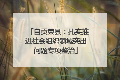 自贡荣县：扎实推进社会组织领域突出问题专项整治