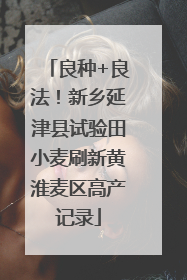 良种+良法！新乡延津县试验田小麦刷新黄淮麦区高产记录