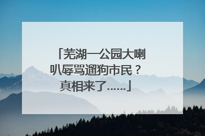 芜湖一公园大喇叭辱骂遛狗市民？真相来了……