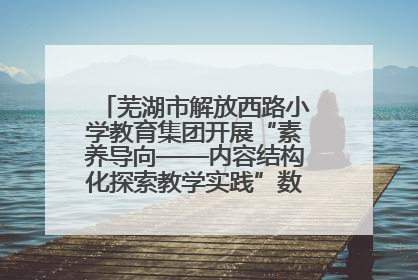 芜湖市解放西路小学教育集团开展“素养导向——内容结构化探索教学实践”数学专题研讨活动
