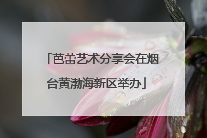 芭蕾艺术分享会在烟台黄渤海新区举办