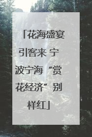 花海盛宴引客来 宁波宁海“赏花经济”别样红