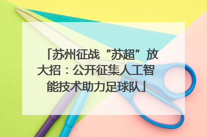 苏州征战“苏超”放大招：公开征集人工智能技术助力足球队