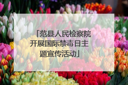 范县人民检察院开展国际禁毒日主题宣传活动