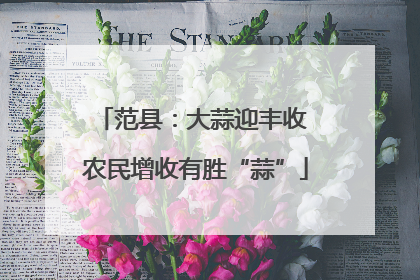 范县：大蒜迎丰收 农民增收有胜“蒜”