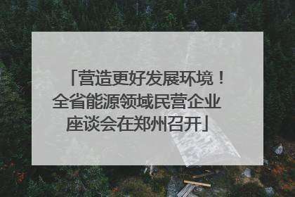 营造更好发展环境！全省能源领域民营企业座谈会在郑州召开